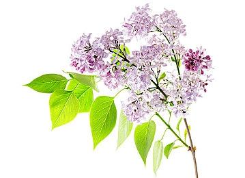 12月12日发售《妖精的尾巴2》公开战斗介绍视频